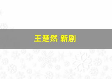 王楚然 新剧